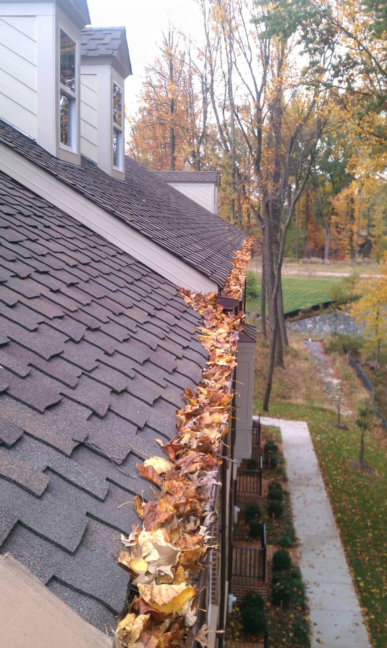 How Often Should You Clean Your Gutters? (Complete Homeowner’s Guide)