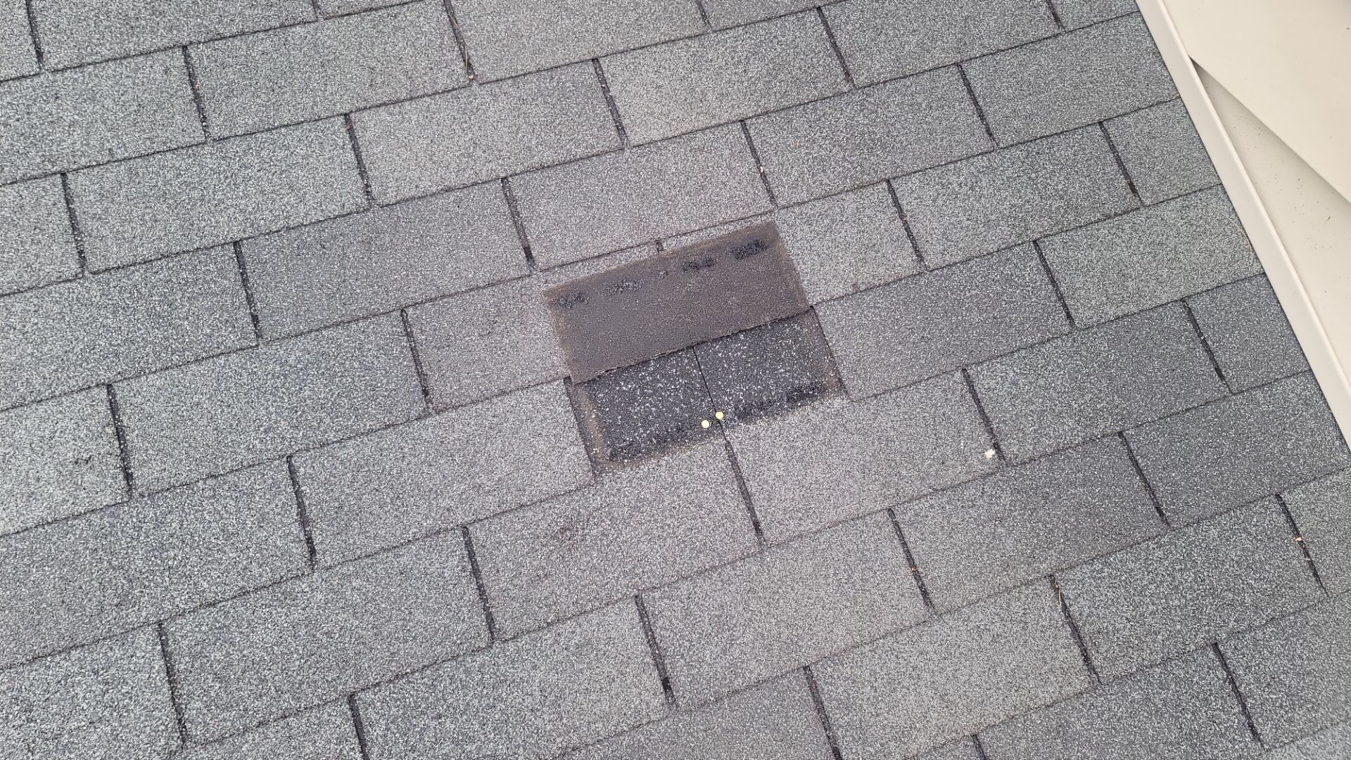 Shingle Roof Repair: A Complete Guide for Homeowners