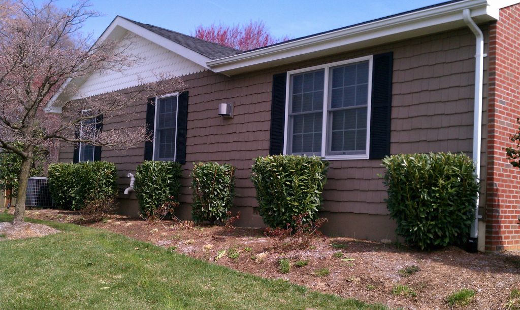 Vinyl Siding Install Services