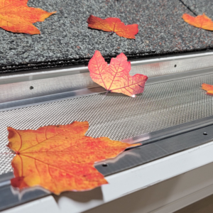 Gutter Cover Services