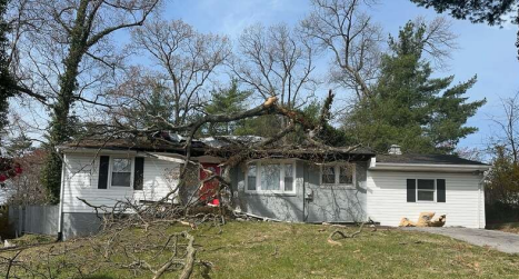 Storm Damage Services
