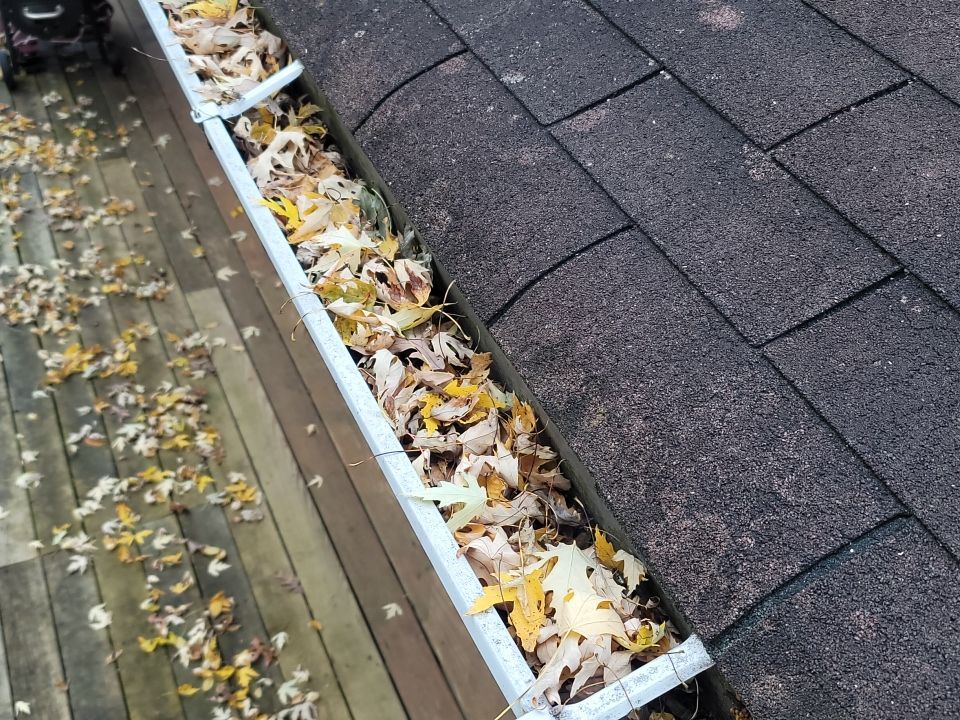 Gutter Cleaning Services